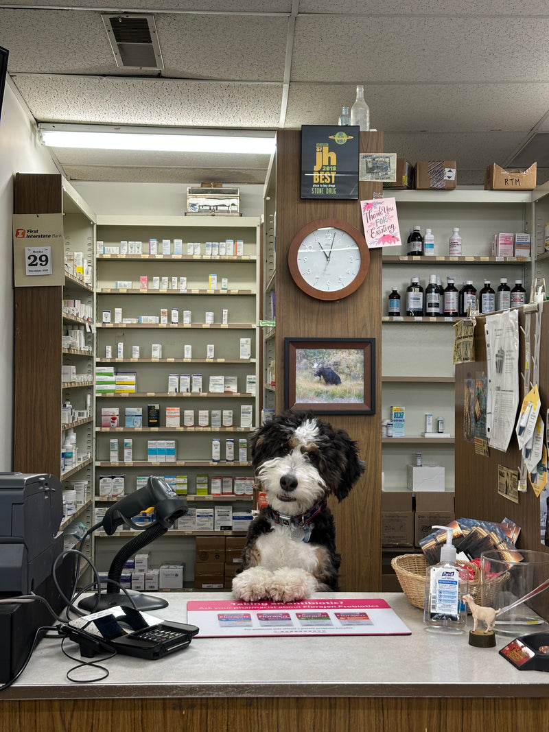 Dog in Pharmacy
